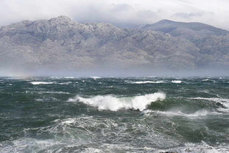 Nedjeljno evađelje: Divljenje
