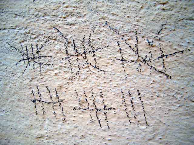 Nedjeljno evanđelje: Nauči nas brojiti dane svoje